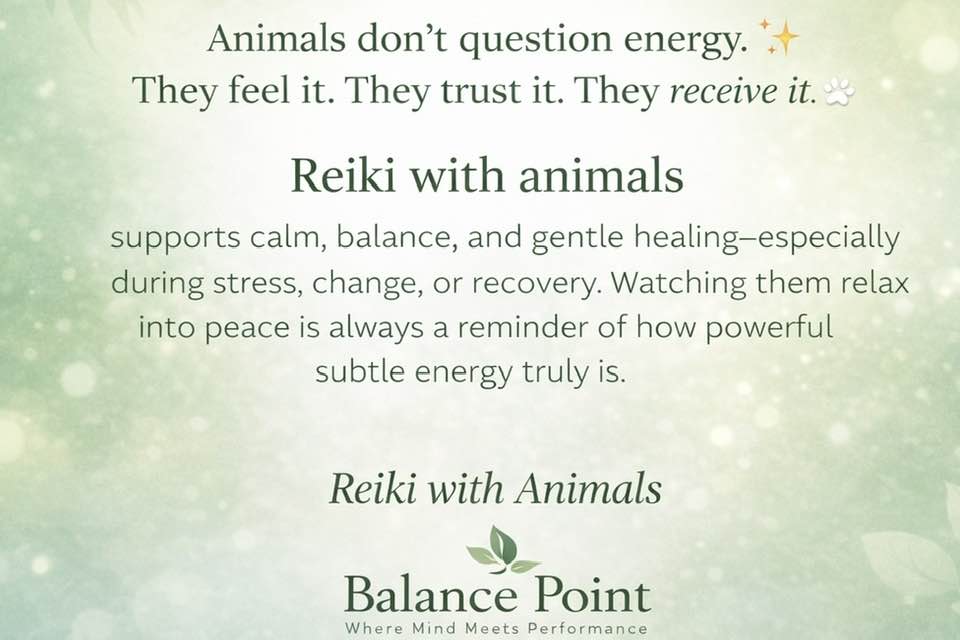 Reiki for animals in Bernardston MA